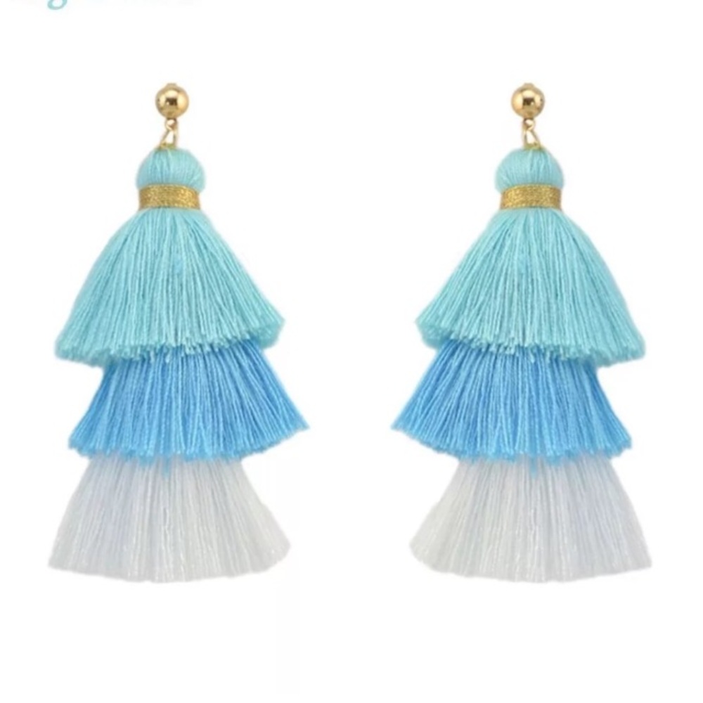 Ombré tassel earrings